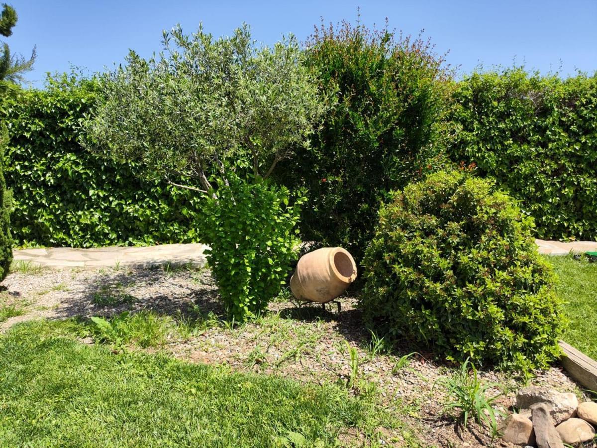 San Julian Estarondo Villa Tudela Dış mekan fotoğraf